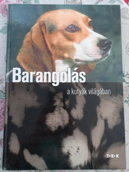 Barangolás a kutyák világában
