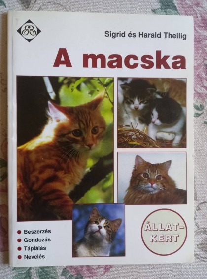 A macska