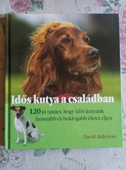 Idős kutya a családban