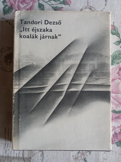 Itt éjszaka koalák járnak