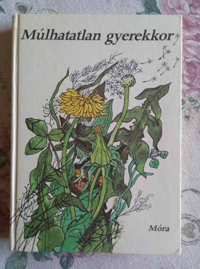 Múlhatatlan gyerekkor